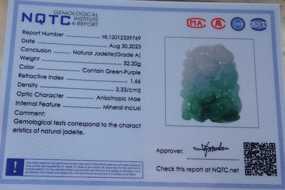 Certified Green Burma 100% Natural A Jade jadeite Pendant Dragon Kai Lun Frog Toad Gourd Necklace 630456 TN