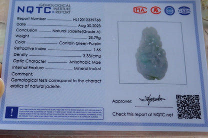 Certified Green Pale Lavender Burma 100% Natural A Jade jadeite Pendant Dragon Turtle Ruyi Coin Necklace 龙龟 630481 TN