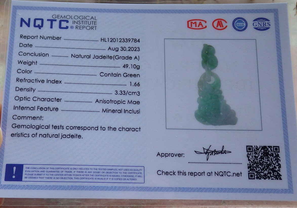 Certified Green Burma 100% Natural A Jade jadeite Pendant Dragon Fish Necklace W Ring 630557 TN