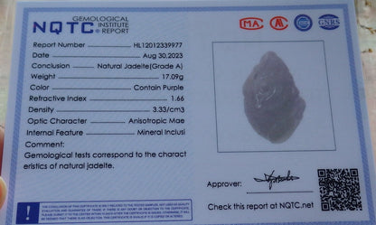 Certified Lavender Burma 100% Natural A Jade jadeite Pendant Frog Toad Coin Ruyi Necklace 招财蟾 631151 TN