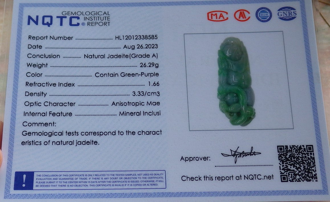 Certified Green Burma 100% Natural A Jade jadeite Pendant Dragon Ruyi Coin Necklace 生意兴隆 631478 TN