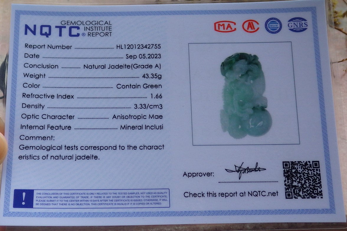 Certified Green Burma 100% Natural A Jade jadeite Pendant Dragon Ruyi Coin Necklace 生意兴隆 631583 TN
