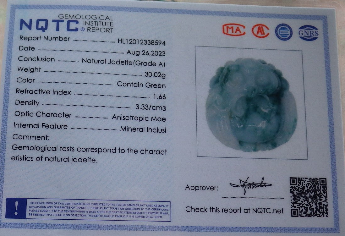 Certified Green Burma 100% Natural A Jade jadeite Pendant Owl Ruyi Necklace 猫头鹰 634530  TN