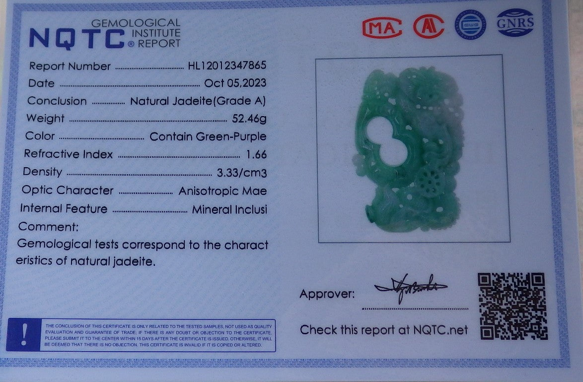Certified Green Burma 100% Natural A Jade jadeite Pendant Dragon Money Coin Necklace 生意兴隆 634782  TN