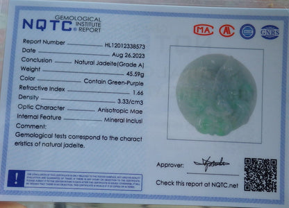 Certified Green Burma 100% Natural A Jade jadeite Pendant Eagle Ruyi Coin Necklace 大展宏图 637209   TN