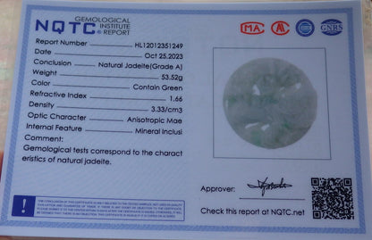 Atestita Verda Birmo 100% Natura A Jadejadeita Pendanta Fenikso-Flora Koliero 凤凰 637415 TN