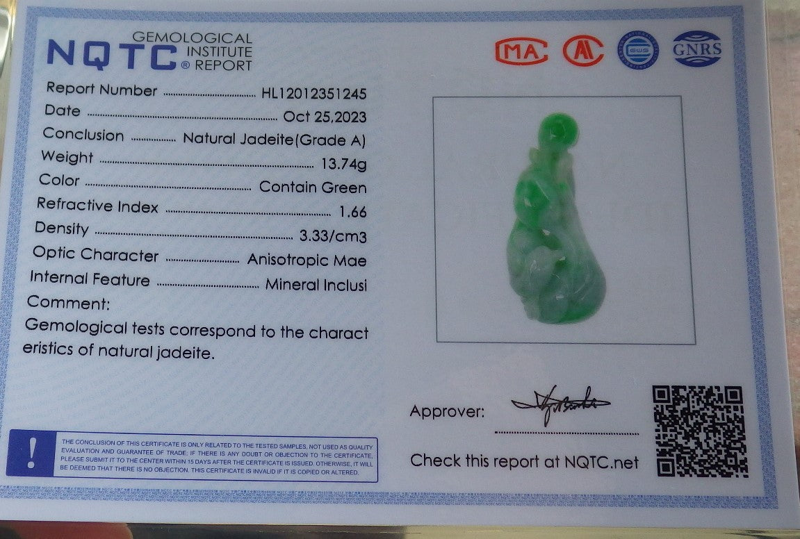 Atestita Verda Birmo 100% Natura A Jadejadeito pendanta Fenikso Birdo-Persika Koliero 637537 TN