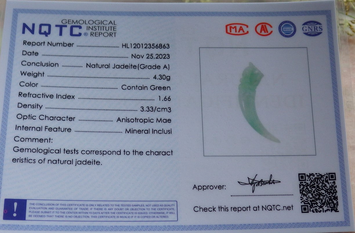Certified Green Burma 100% Natural A Jade jadeite Pendant Dragon tooth Necklace 龙牙 641033  TN