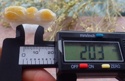 Certified Yellow Burma 100% Natural A JADE Jadeite Monkey Peach RING USA. 10.25 戒指 641260  TN