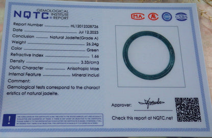 Certified Icy Green Burma 100% Natural A JADE Jadeite Circle Bangle Bracelet 54 mm 手镯 642313  TN