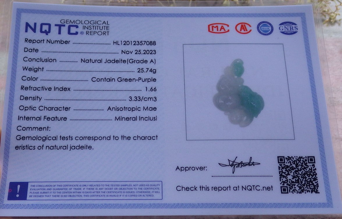 Certified Green Burma 100% Natural A Jade jadeite Pendant Phoenix Bird Gourd Ruyi Necklace 642370  TN