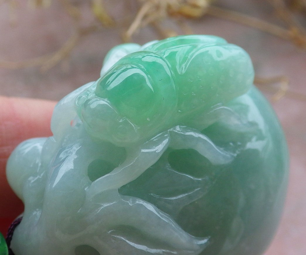 Certified Green Burma 100% Natural A Jade jadeite pendant Cicada Peach Necklace 蝉 一鸣惊人 643251  TN