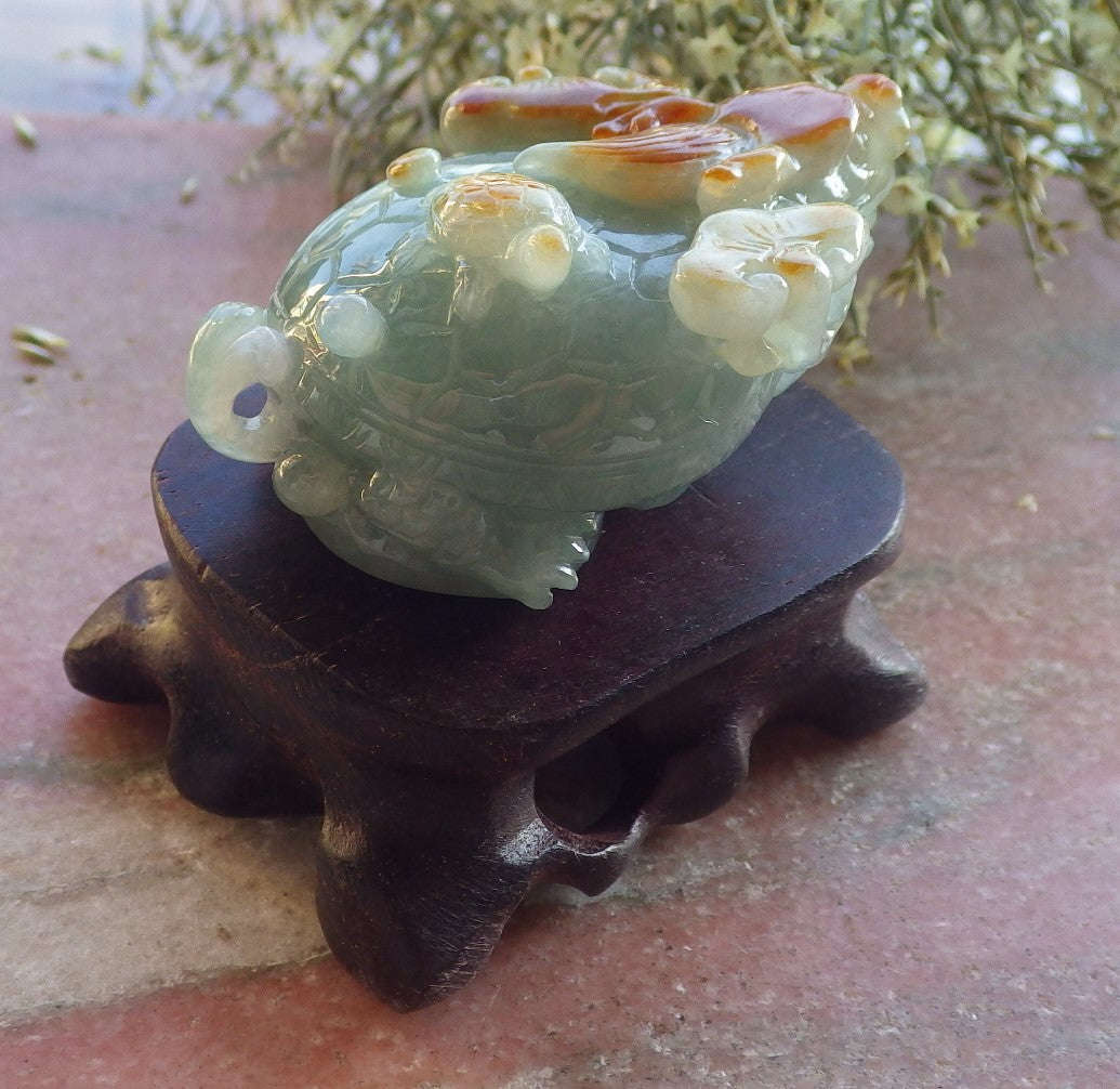 Certified Red Green Burma 100% Natural A Jade jadeite Display Dragon Turtle Coin 龙龟 644530  TN