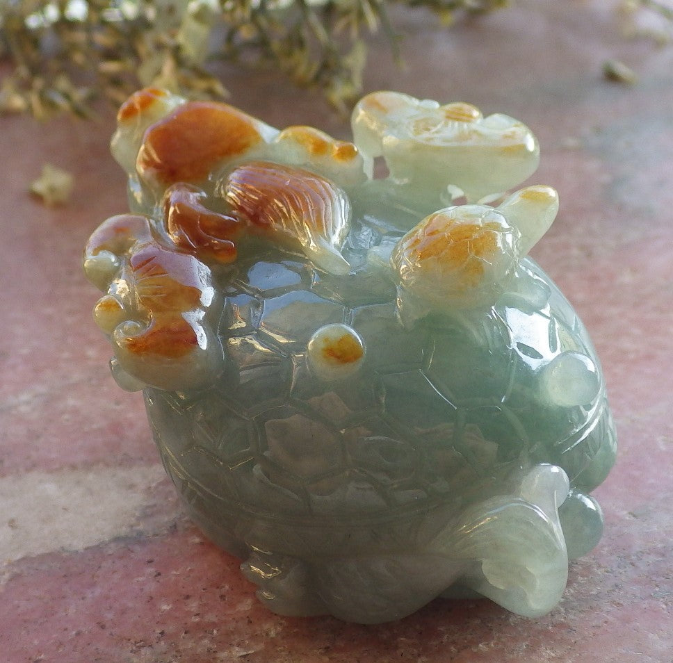 Certified Red Green Burma 100% Natural A Jade jadeite Display Dragon Turtle Coin 龙龟 644530  TN