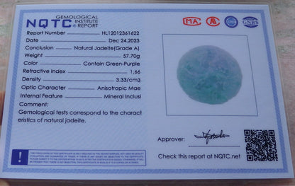 Certified Green & Pale Lavender Burma 100% Natural A Jade jadeite Pendant 9 Dragon Ruyi Circle Necklace 九龙  645415  TN