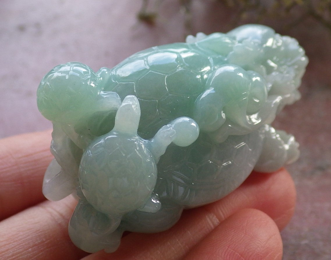 Certified Green Burma 100% Natural A Jade jadeite Display Dragon Turtle Coin Ruyi 龙龟 645424 TN