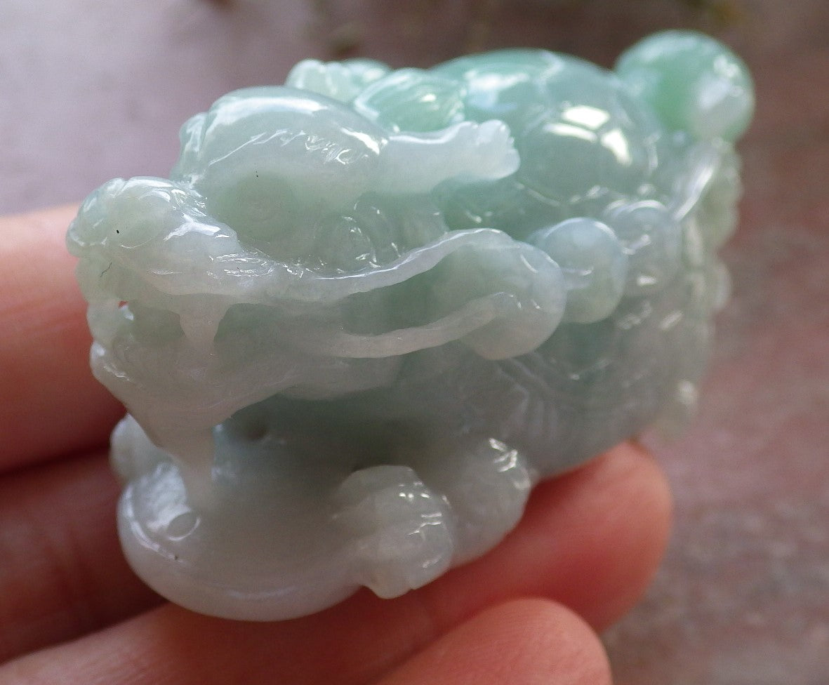 Certified Green Burma 100% Natural A Jade jadeite Display Dragon Turtle Coin Ruyi 龙龟 645424 TN