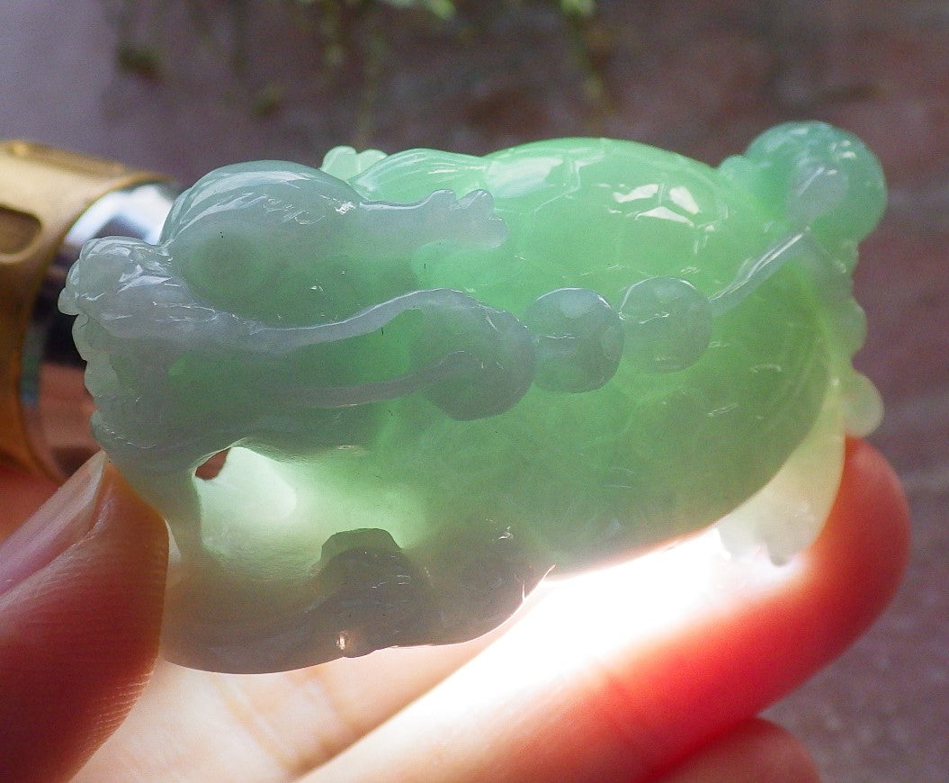 Certified Green Burma 100% Natural A Jade jadeite Display Dragon Turtle Coin Ruyi 龙龟 645424 TN