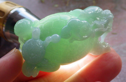 Certified Green Burma 100% Natural A Jade jadeite Display Dragon Turtle Coin Ruyi 龙龟 645424 TN
