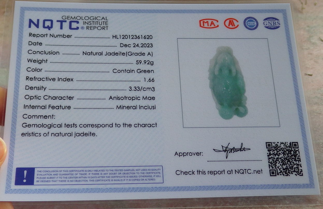 Certified Green Burma 100% Natural A Jade jadeite Display Dragon Turtle Coin Ruyi 龙龟 645424 TN