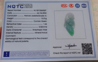 Certified Green Burma 100% Natural A Jade jadeite Pendant Phoenix Bird Flower Necklace 647220 TN