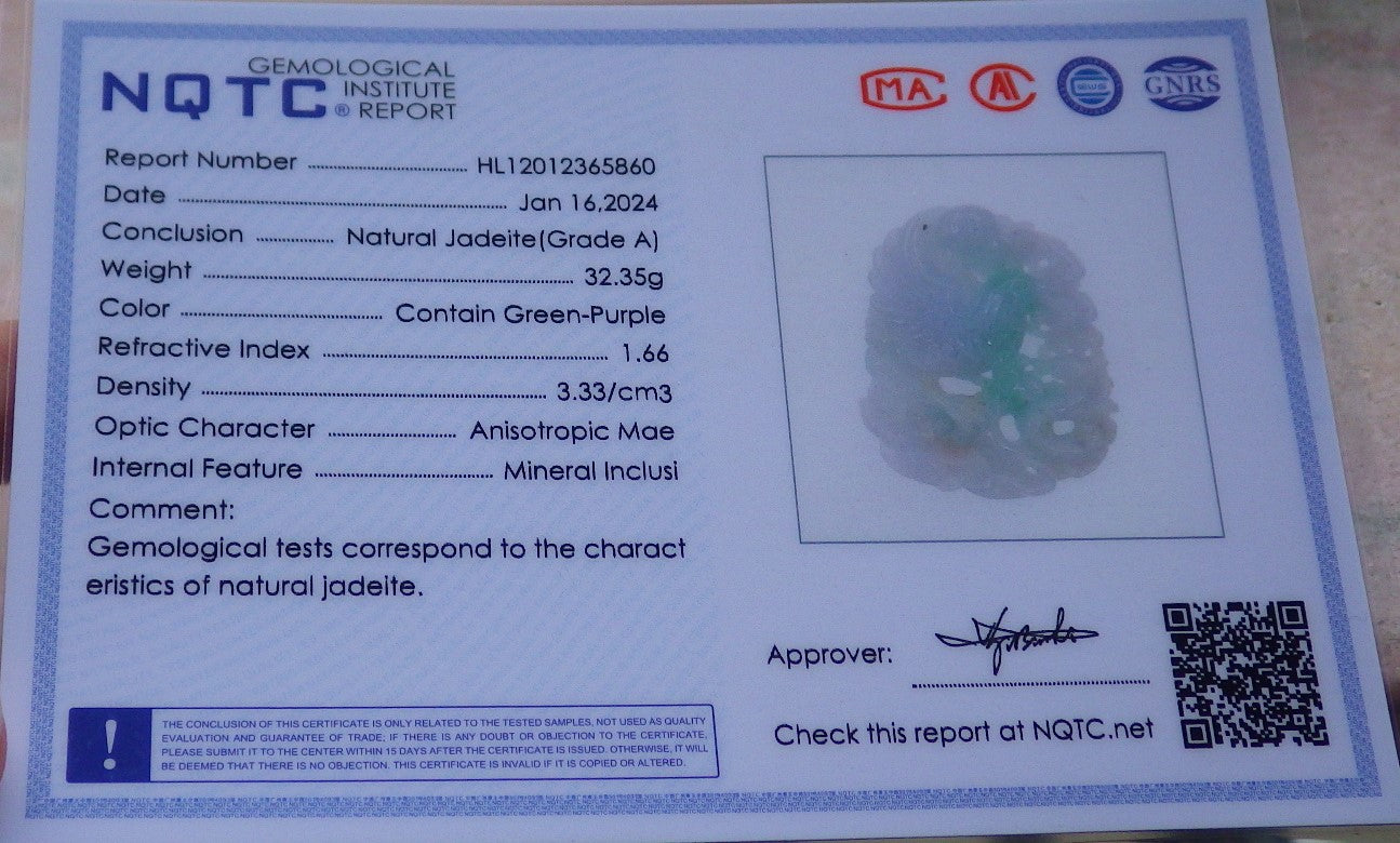 Certified Green Burma 100% Natural A Jade jadeite Pendant Eagle Snake Ruyi Necklace 大展宏图 647646 TN