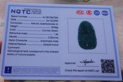 Certified Green Burma 100% Natural A Jade jadeite Pendant Dragon Ruyi Necklace 生意兴隆 648511 TN