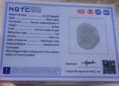 Certified Green Burma 100% Natural A Jade jadeite Pendant Dragon Fish Ruyi Necklace 龙鱼 649612 TN