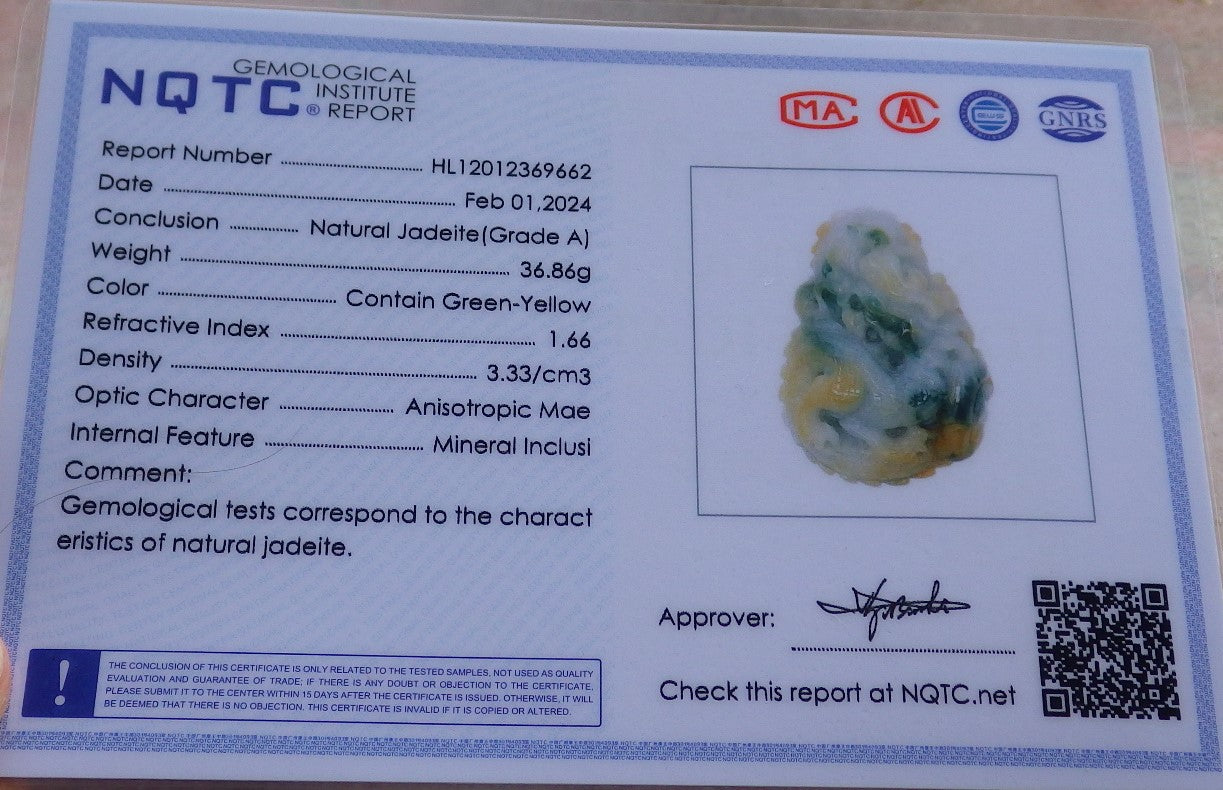 Certified Yellow Green Burma 100% Natural A Jade jadeite Pendant Dragon Ruyi Necklace 生意兴隆 649845 TN