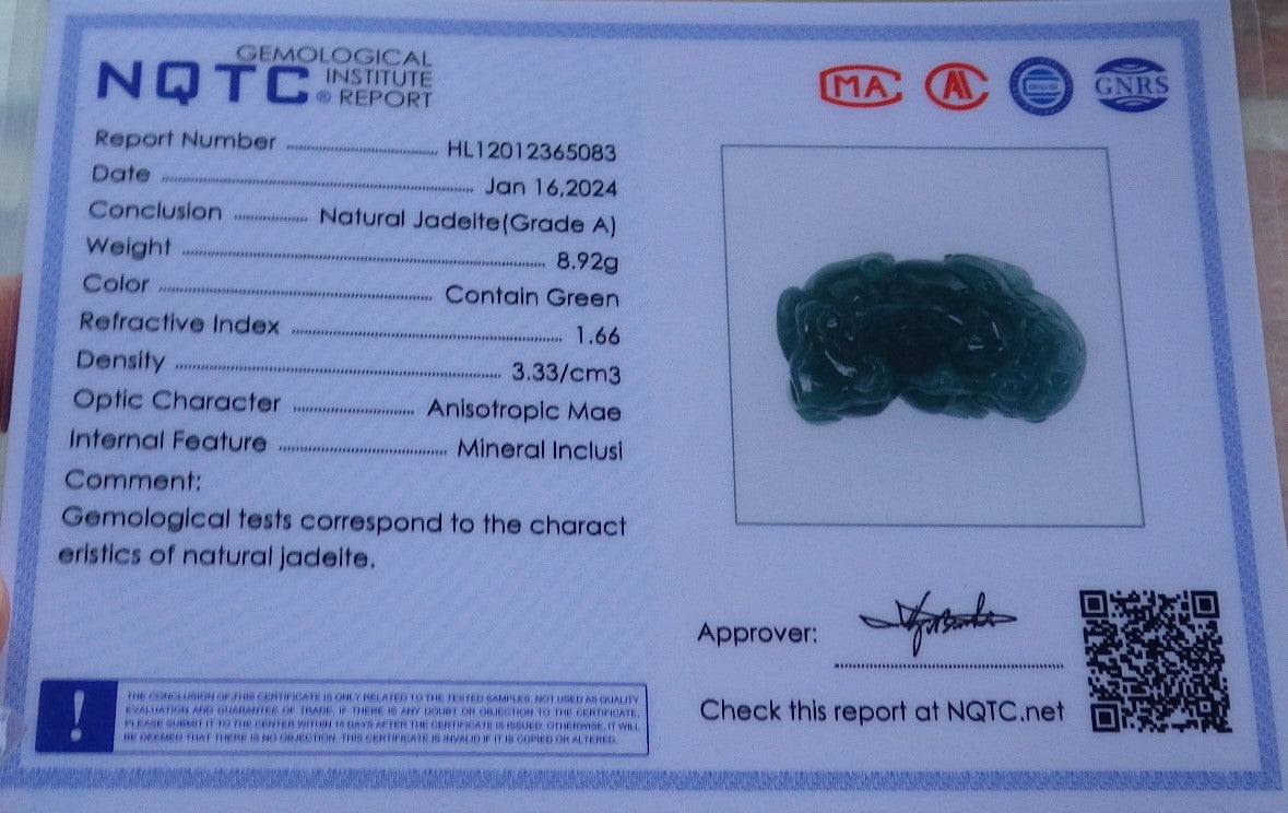 Certified Icy Green Burma 100% Natural A Jade jadeitePendant Dragon Pi Xiu Coin Ruyi Necklace 风水貔貅 650035 TN