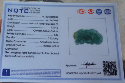 Certified Icy Green Yellow Burma 100% Natural A Jade jadeite Pendant Dragon Pi Xiu Ruyi Coin Necklace 风水貔貅 650902 TN