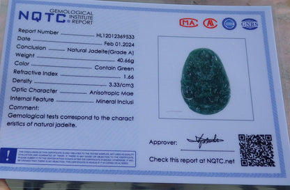 Certified Icy Green Burma 100% Natural A Jade jadeite Pendant Dragon Mouse Rat Coin Necklace 望子成龙 651717 TN