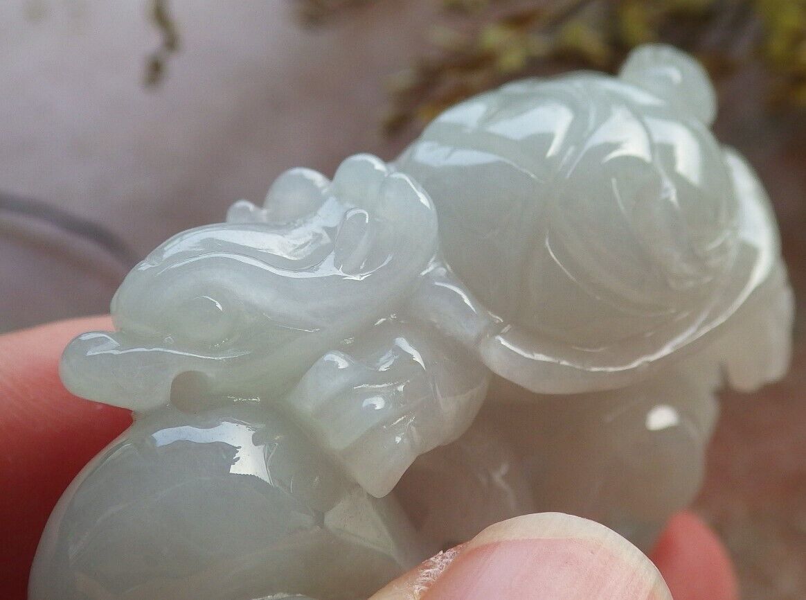 Certified Icy Green Pale Lavender Burma 100% Natural A Jade jadeite Pendant Dragon Turtle Ruyi Coin Necklace 龙龟 574488 TN