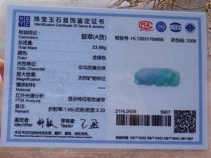 Certified Green 100% Natural A Jade jadeite Pendant Tiger Money Coin Necklace 虎虎生威 525750  TN