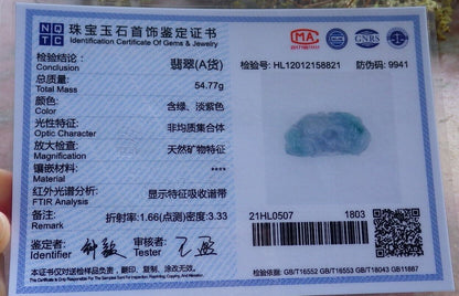 Certified Icy Green Pale Lavender 100% Natural A Jade jadeite Pendant Dragon Pi Xiu Lotus Flower Ruyi Money Coin Necklace 风水貔貅 523926  TN