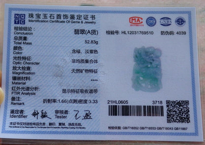 Certified Green 100% Natural A Jade jadeite Pendant Dragon Gourd Coin Ruyi Necklace 龙 麒麟 525497  TN