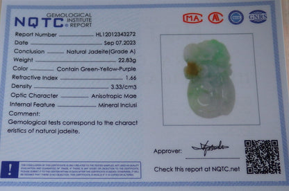 Certified Green Yellow Burma 100% Natural A Jade jadeite Pendant Frog Toad Ruyi Coin Necklace 招财蟾 633090  TN