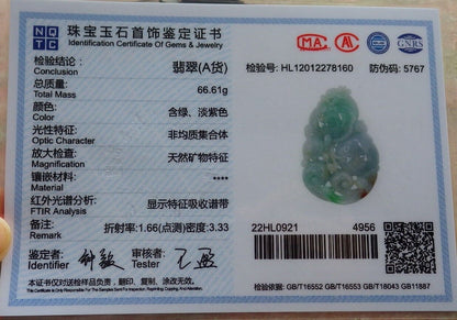 Certified Red Green Burma 100% Natural A Jade jadeite Pendant Dragon Turtle Coin Lotus Flower Ruyi Necklace 龙龟 575114 TN