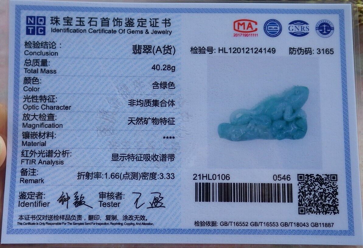 Certified Green 100% Natural A Jade jadeite Display Dragon Lizard Tree 龙蜥蜴 524125  TN