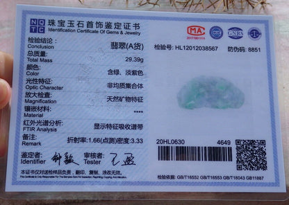 Certified Green Pale Lavender 100% Natural A Jade jadeite Pendant Dragon Pi Xiu Money Coin Ruyi Necklace 风水貔貅 529417 TN