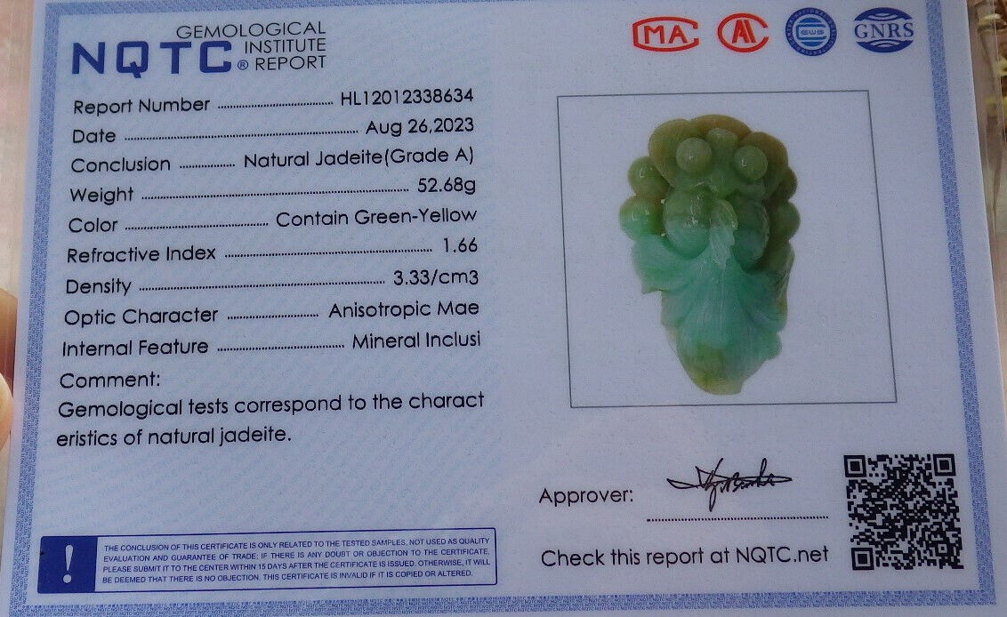Certified Green Yellow Burma 100% Natural A Jade jadeite pendant Gold Fish Coin Ruyi Necklace 金玉满堂 632577  TN