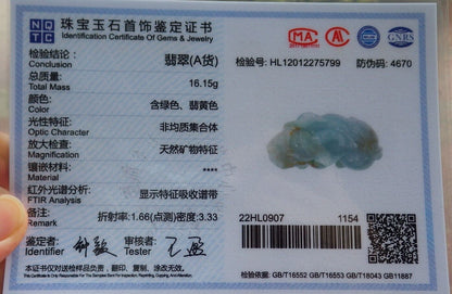 Pair Certified Green Red Burma 100% Natural A Jade jadeite Pendant Dragon Pi Xiu Money Coin Necklace 风水貔貅 573983 TN
