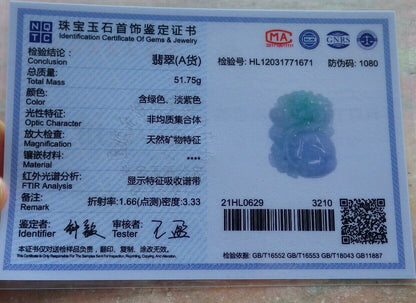 Certified Green Pale Lavender 100% Natural A Jade jadeite Pendant Dragon Pi Xiu Bat Peach Ruyi Money Coin Necklace 风水貔貅 528788  TN