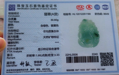 Certified Green Burma 100% Natural A Jade jadeite Pendant Frog Toad Coin Ruyi Necklace 招财蟾 574748 TN