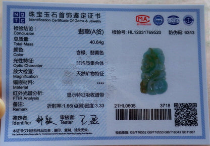 Certified Yellow Green 100% Natural A Jade jadeite Pendant Phoenix Bird Ruyi Coin Flower Necklace 凤凰 525903  TN