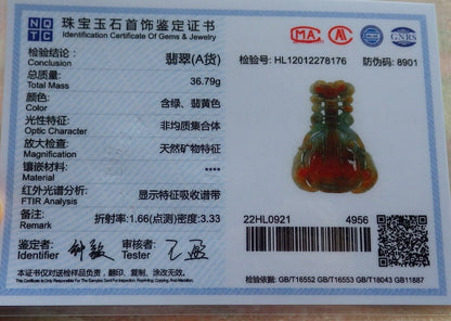 Certified Red Green Burma 100% Natural A Jade jadeite Pendant Bird Ruyi Coin Guitar Necklace 575279 TN