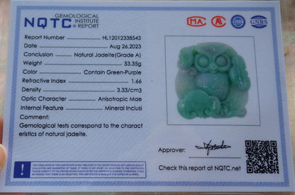 Atestita Verda Birmo 100% Natura A Jadejadeito Penda Strigo Ruyi-Koliero 猫头鹰 632560 TN