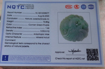 Certified Green Burma 100% Natural A Jade jadeite Pendant Eagle Snake Coin Necklace 大展宏图 633482  TN