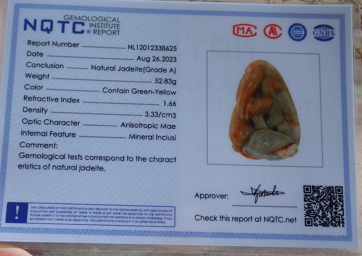 Certified Yellow Green Burma 100% Natural A Jade jadeite pendant Turtle Ruyi Necklace 长寿龟 632601  TN