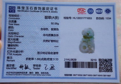 Certified Green Yellow 100% Natural A Jade jadeite Pendant Frog Toad Lotus Flower Coin Necklace 金蟾 528651  TN
